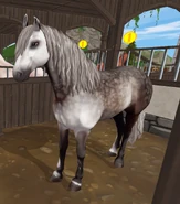 StarStable 2020-07-25 17-19-37 (2).png (786 KB) Siwa jabłkowita (generacja 3)