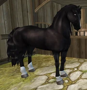 Kara (generacja 2) (niedostępna)