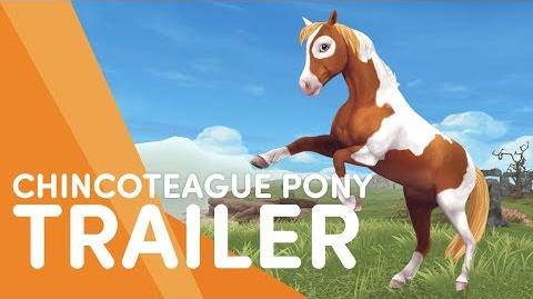 The Chincoteague Pony - Star Stable Trailers