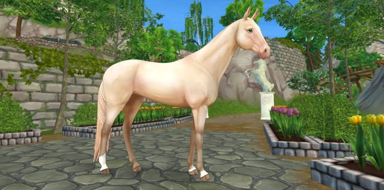 Akhal-Teke | Jorvikipedia | Fandom