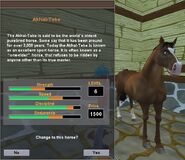 The Akhal-Teke as it appears in Star Stable