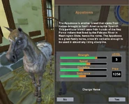 Appaloosa w Stajni Marzeń