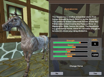 Appaloosa