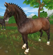 DuńskiGniadyJabłko.png (769 KB) Gniada jabłkowita (niedostępna)