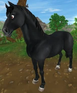 Kara (1.5 generacja) (niedostępna)