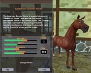 The AQH as it appears in Star Stable