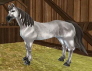 Siwa (generacja 2) (niedostępna)