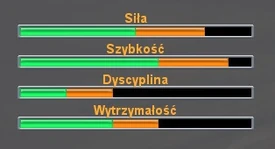 Umiejętności araba Shagya