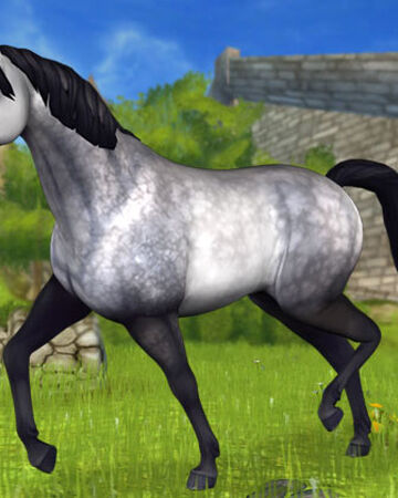 39+ Sso prettiest horse ideas in 2021 