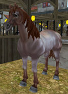 The Red Roan Coat (Gen 2)