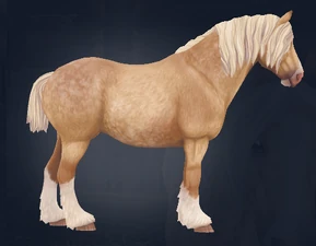 Default mane with docked tail