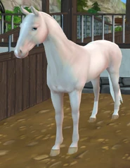 Cremello (generacja 3)