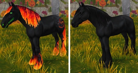 Firey Black to Black