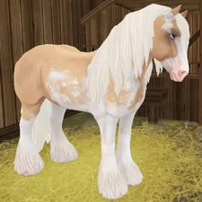 Palomino Sabino
