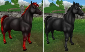 Red and Black to Black