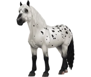 Kara leopard.png (370 KB) Kara dereszowata werniksowa