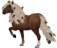 Ciemna kasztanowata konopiasta