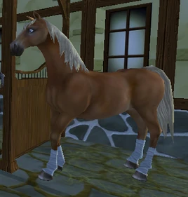 PXStudioEngine 2017-07-26 20-11-29-06