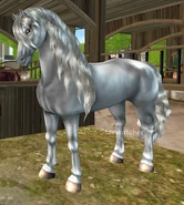 Siwa z metalicznym połyskiem (generacja 2) (niedostępna)