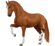 Kasztanowata (generacja 3)