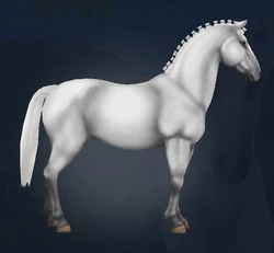 PIATNIK製 トランプ リピッツァナー(軽種馬) Lipizzaner I 馬の種類 > 軽種：リピッツァナー | 馬を知ろう！