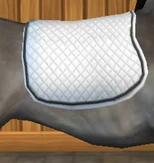 Full (Dressage) (Original)