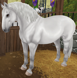 PIATNIK製 トランプ リピッツァナー(軽種馬) Lipizzaner I PIATNIK製 トランプ リピッツァナー(軽種馬) Lipizzaner I