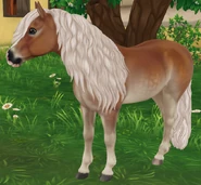 Kasztanowata konopiasta mączysta jabłkowita (generacja 3)