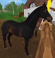 Skarogniada (3 generacja)