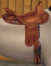 Reigning Saddle