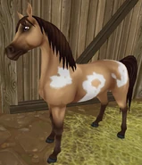 PintaJeleń.png (839 KB) Burztynowoszampańska bułana overo (generacja 2) (niedostępna)