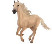 Izabelowata (generacja 3)