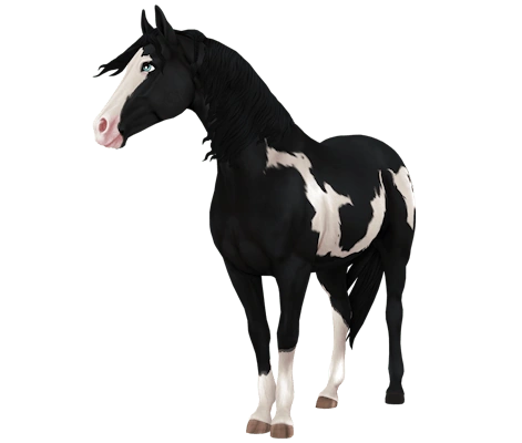 American Paint Horse Jorvikipedia Fandom