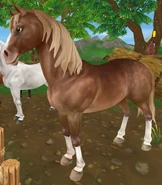 Kasztanowata z konopiastą grzywą i ogonem (generacja 1.5) (niedostępna)