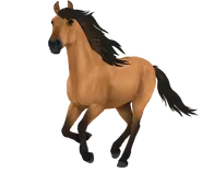 Bułana (generacja 3)