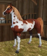 Pintabian4.jpg (55 KB) Kasztanowata z konopiastą grzywą i ogonem overo (generacja 2) (niedostępna)