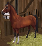 Gniadosz.png (1,36 MB) Gniada