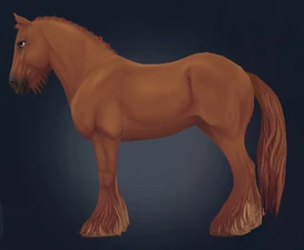 Button Braids with beard