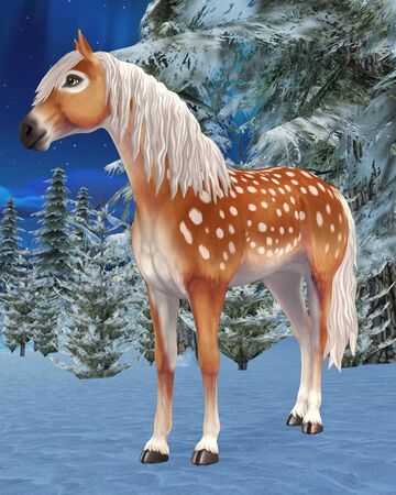 Fawncy Jorvikipedia Fandom Basic groundwork, stands well for farrier and vet. fawncy jorvikipedia fandom