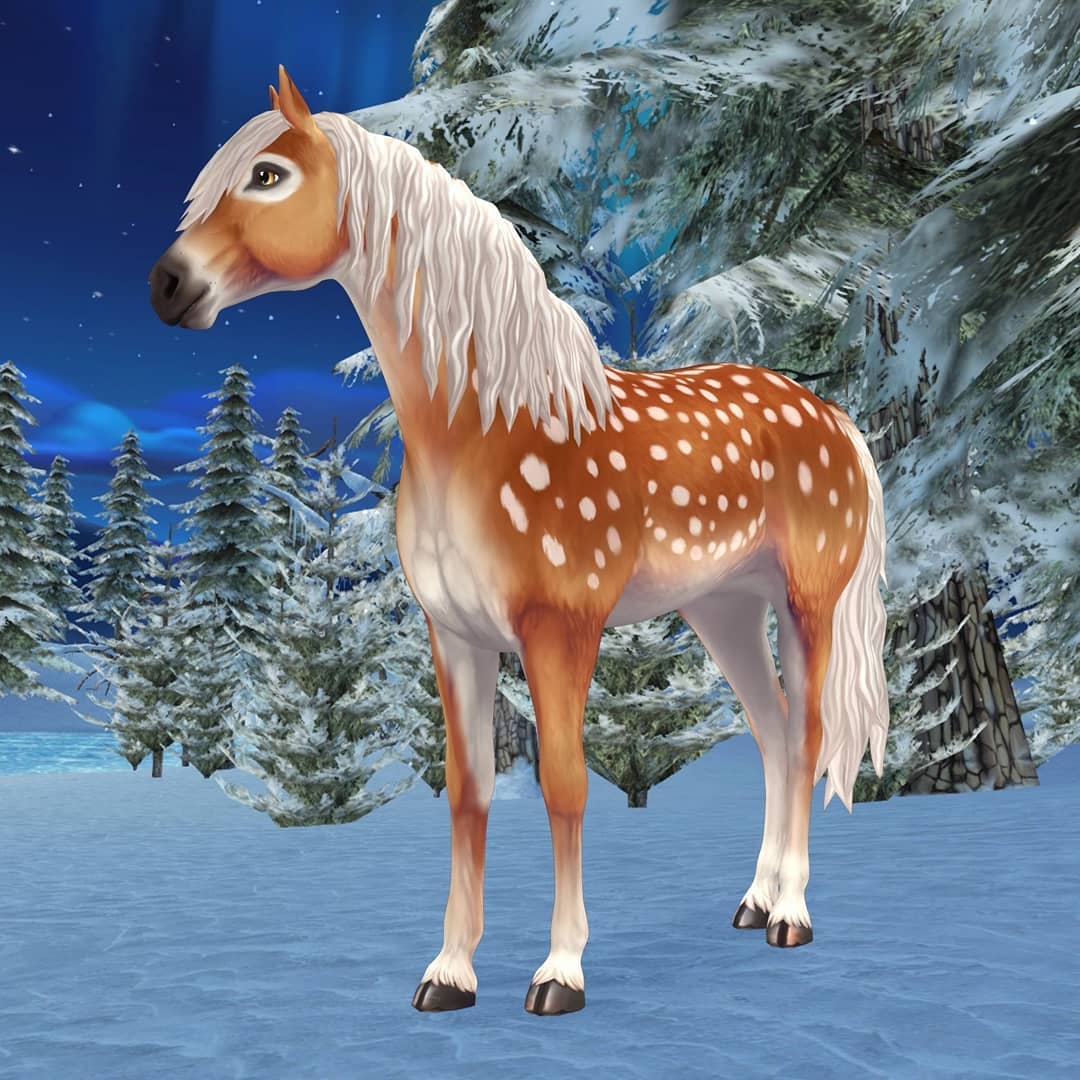 Star stable horses game