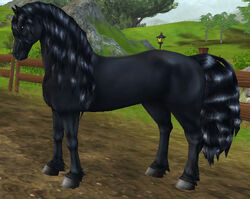 Friesian Horse Jorvikipedia Fandom