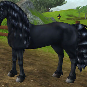 Friesian Horse Jorvikipedia Fandom Cut out one of each type of shape (head, neck, body, and front and. friesian horse jorvikipedia fandom
