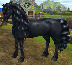 Friesian Horse Jorvikipedia Fandom