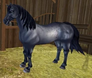 Karodereszowata (generacja 2) (niedostępna)