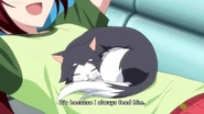 Borscht sleeping on Akane's chest.