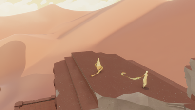 Sometimes a glitch can happen and your companion loses the robe