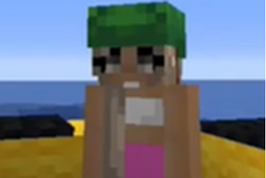 HappyyppaH, Happy's Minecraft Survivor Wiki