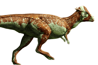 Pteranodon (DinoWorld U.S.A.), Jurassic Park Fanon Wiki