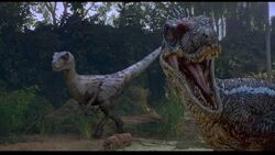 Deinosuchus (survival of the fittest canon), Jurassic Park Fanon Wiki