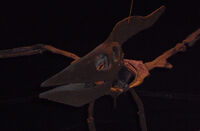 Pteranodon